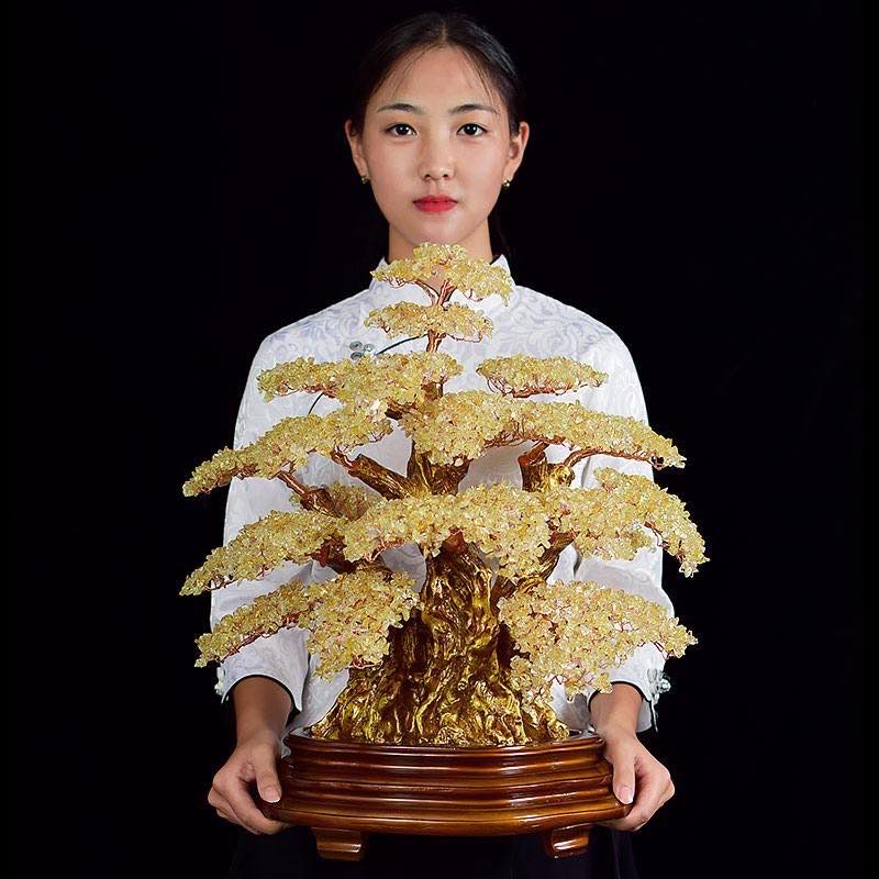 Cay Bonsai Da Thach Anh (6)